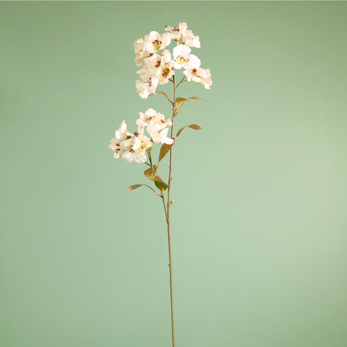 Textured Botanical Stem No.2