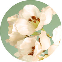 Textured Botanical Stem No.2