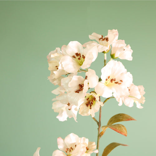 Textured Botanical Stem No.2