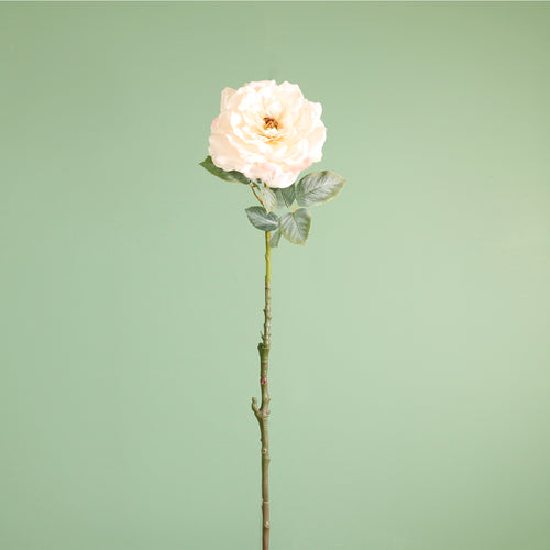 Textured Botanical Stem No.3