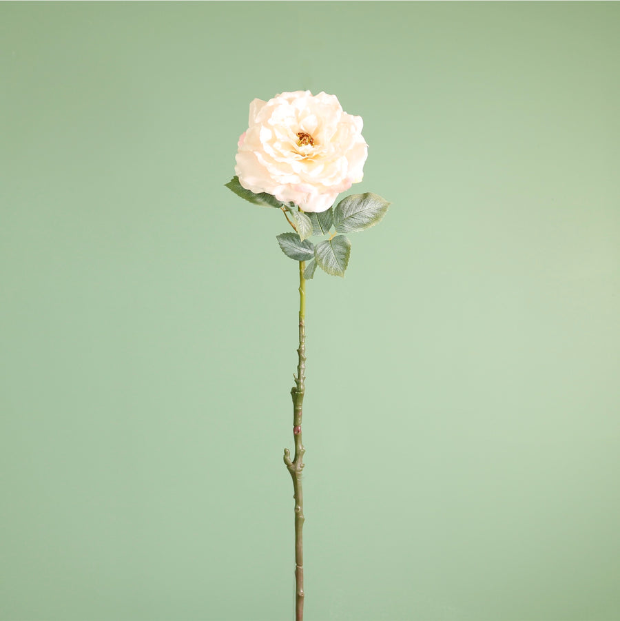 Textured Botanical Stem No.3