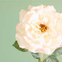 Textured Botanical Stem No.3