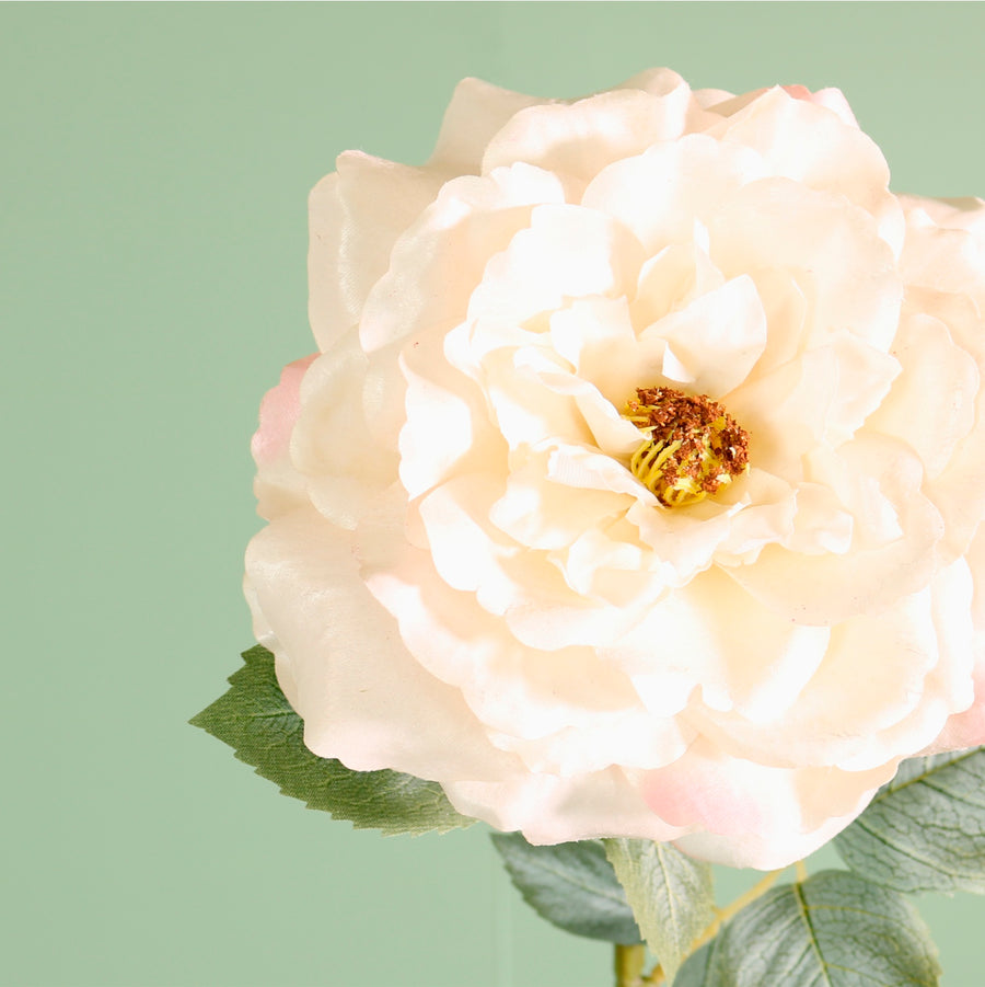 Textured Botanical Stem No.3