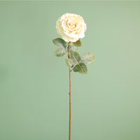 Textured Botanical Stem No.5