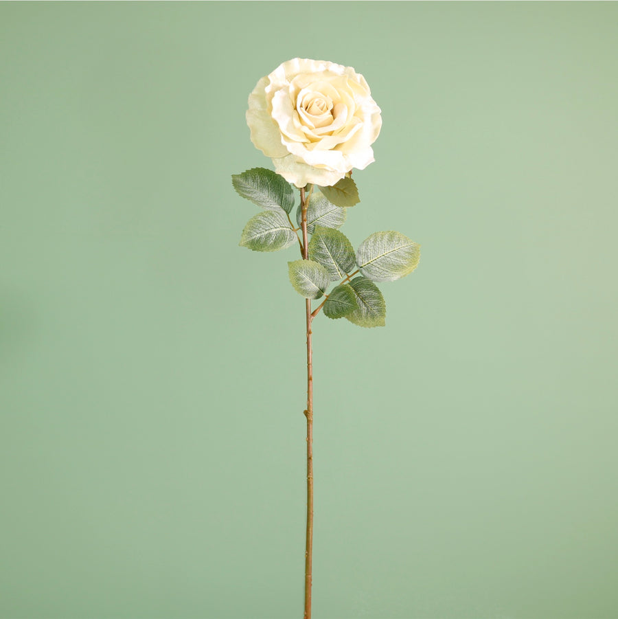 Textured Botanical Stem No.5