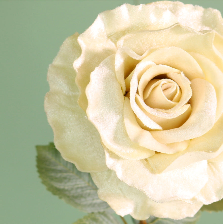 Textured Botanical Stem No.5