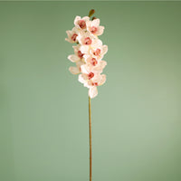 Textured Botanical Stem No.6