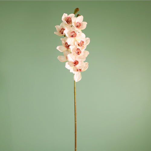 Textured Botanical Stem No.6