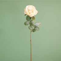 Textured Botanical Stem No.7