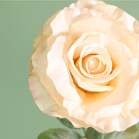 Textured Botanical Stem No.7