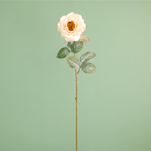 Textured Botanical Stem No.9