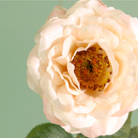 Textured Botanical Stem No.9