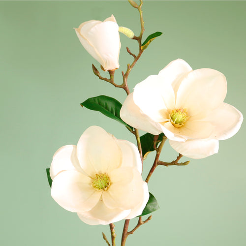 Textured Botanical Stem No.10