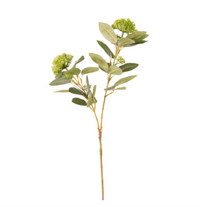 Bushy Viburnum Spray