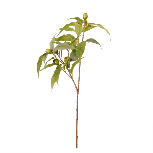 Bushy Gumnut Spray