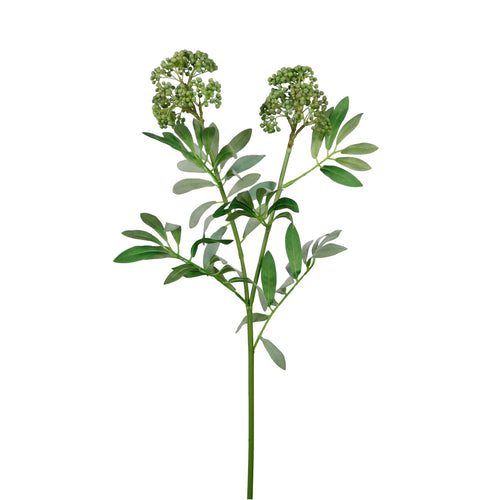 Dusted Elderberry Spray