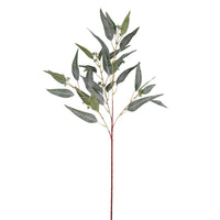 Eucalyptus Nicholii Spray