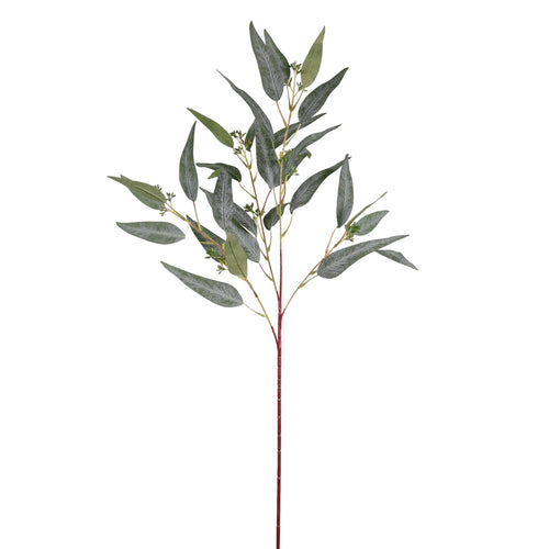 Eucalyptus Nicholii Spray