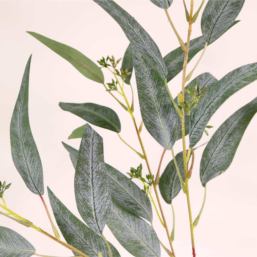 Eucalyptus Nicholii Spray