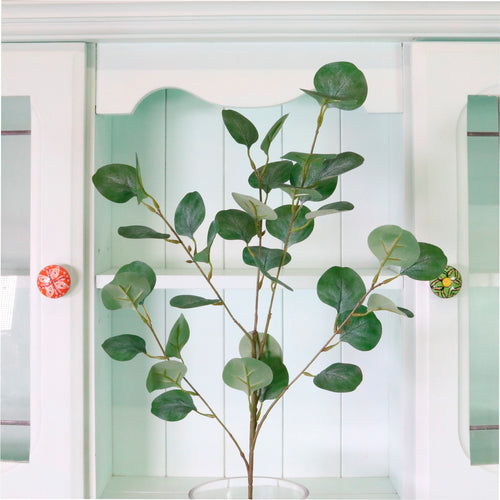 Natural Silver Dollar Eucalyptus Spray