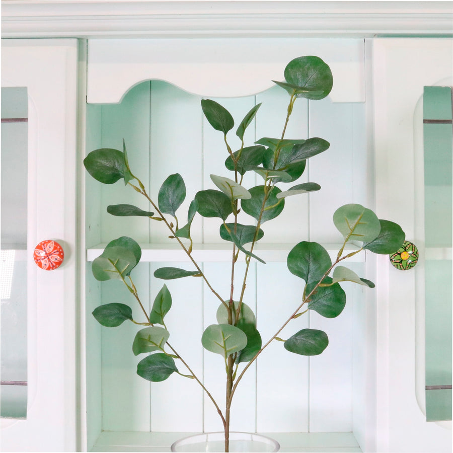 Natural Silver Dollar Eucalyptus Spray