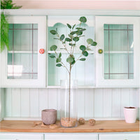 Natural Silver Dollar Eucalyptus Spray