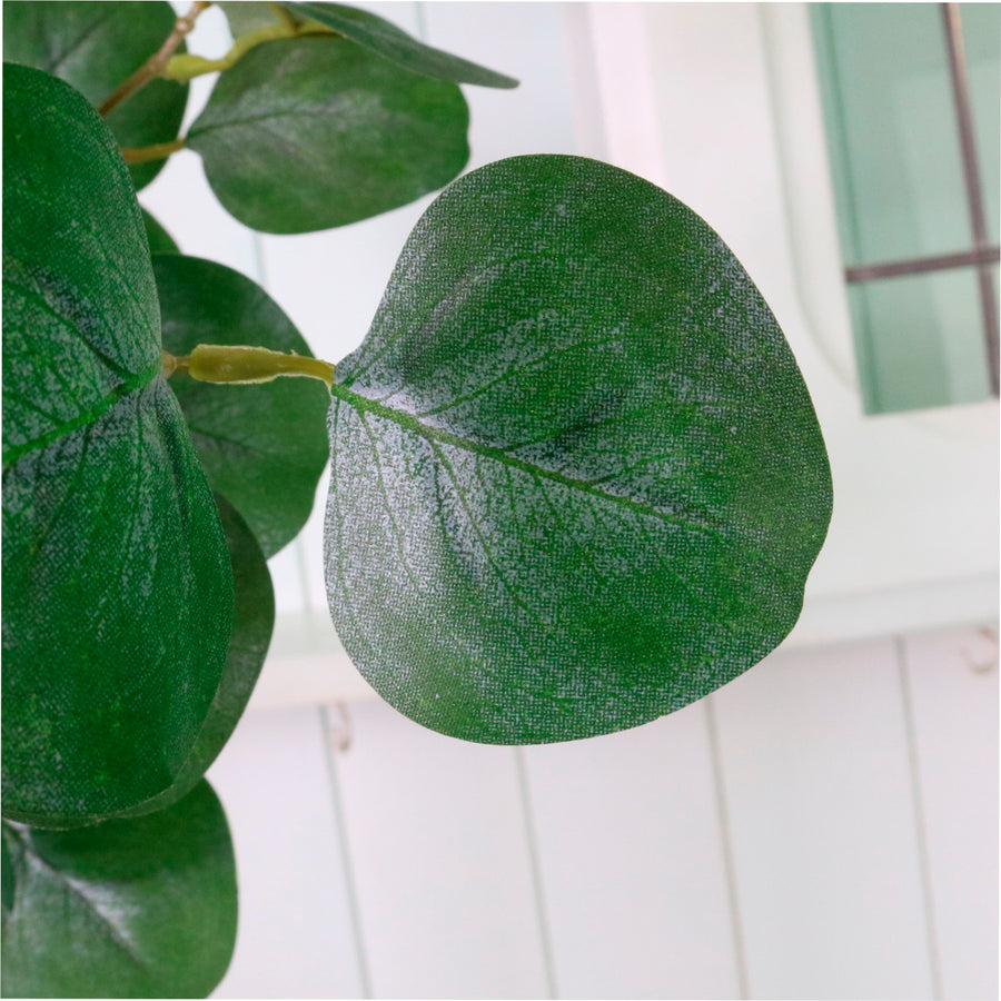 Natural Silver Dollar Eucalyptus Spray