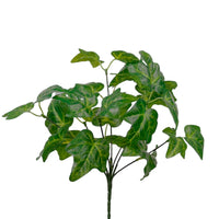 Medium Veined Ivy Bunch Natural Green