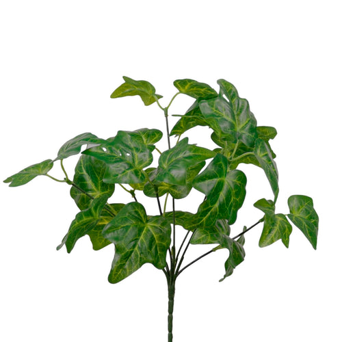 Medium Veined Ivy Bunch Natural Green