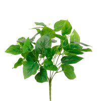 Medium Jade Pothos Bunch Natural Green
