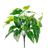 Medium Veined Philodendron Bunch Natural Green