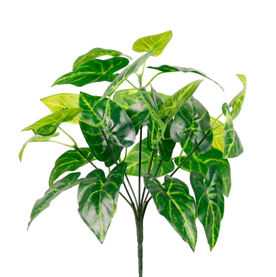 Medium Veined Philodendron Bunch Natural Green