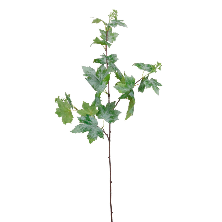 Wild Grape Leaf Spray