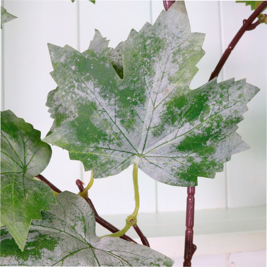 Wild Grape Leaf Spray