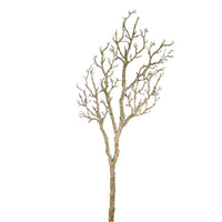 Wildwood Branch No:2