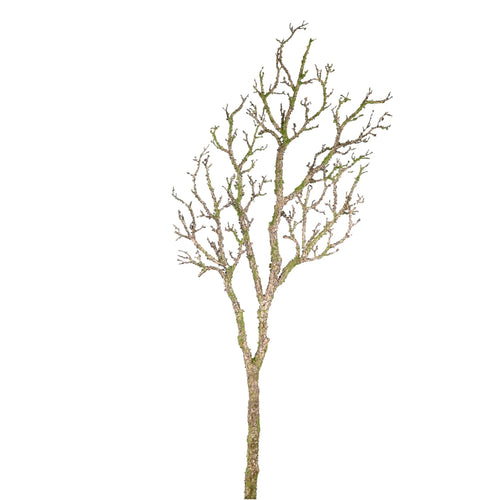 Wildwood Branch No:2