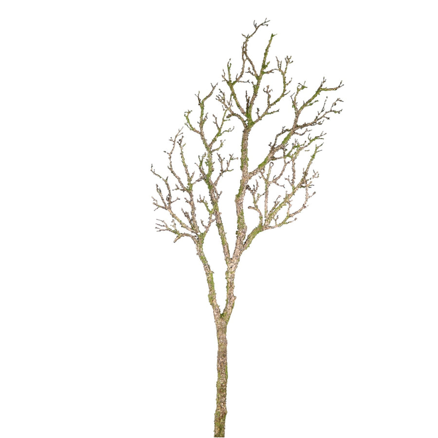 Wildwood Branch No:2