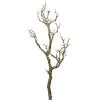 Wildwood Branch No:7