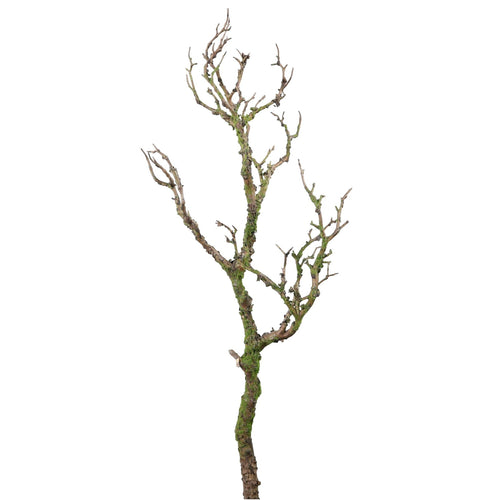 Wildwood Branch No:7