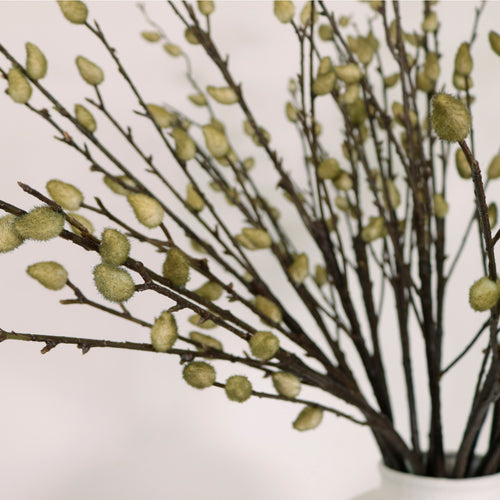 Premium Hazelwood Pussy Willow Spray
