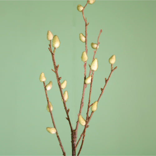 Premium Hazelwood Pussy Willow Spray