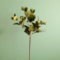 Seasonal Autumnal Eucalyptus Spray