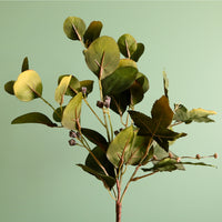 Seasonal Autumnal Eucalyptus Spray