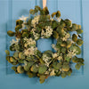 Seasonal Autumnal Eucalyptus Wreath (50cm)
