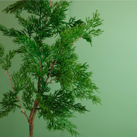 Premium Juniper Pine Conifer Spray (68cm)