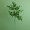 Premium Juniper Pine Conifer Stem (50cm)