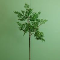 Premium Juniper Pine Conifer Stem (50cm)