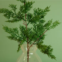Premium Juniper Pine Conifer Stem (50cm)