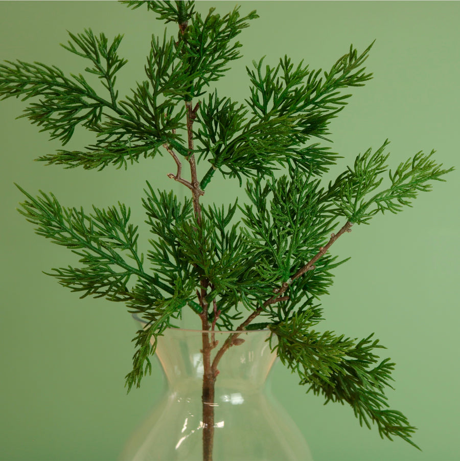 Premium Juniper Pine Conifer Stem (50cm)