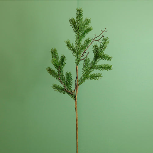 Premium Spruce & Twig Stem